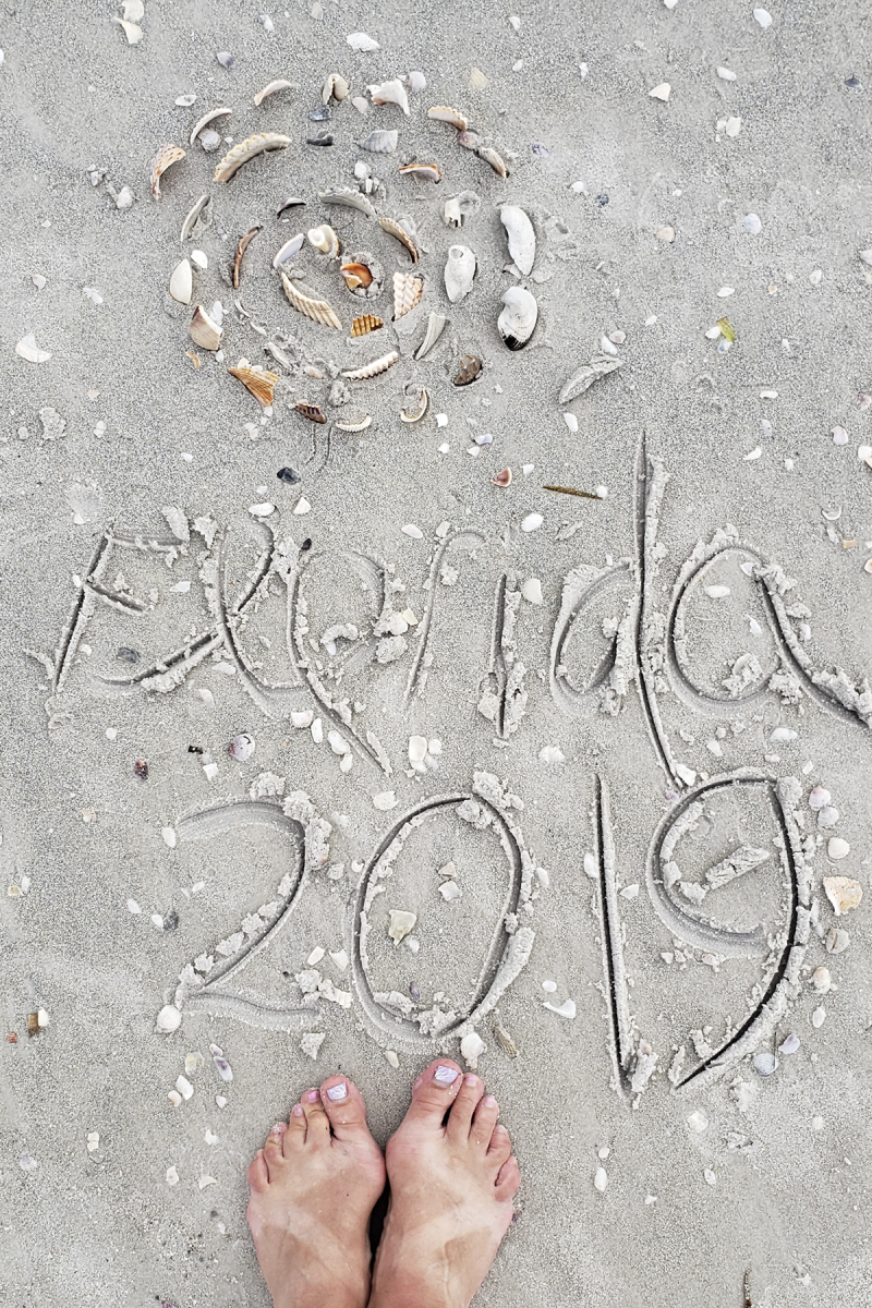 Florida 2019 reentry Florida 2019 reentry