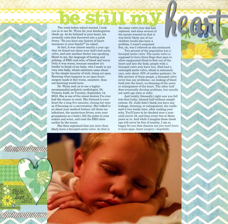 2010 09 03 Kaleb be still my heart bicuspid valve 2010 09 03 Kaleb be still my heart bicuspid valve